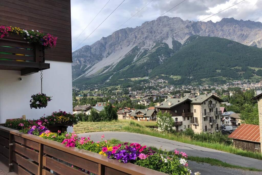 Appartamento A Due Passi Da Bormio Valdisotto Dış mekan fotoğraf